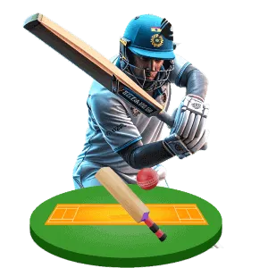 B999 ABOUT US cricket